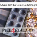 À Quoi Sert La Gelée De Kamagra 30